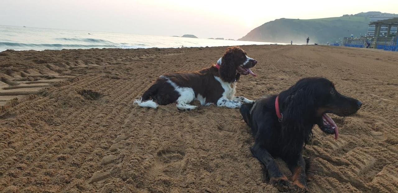 Amplio Piso En La Playa De 135 M2 Con Garaje Daire Zarautz Dış mekan fotoğraf